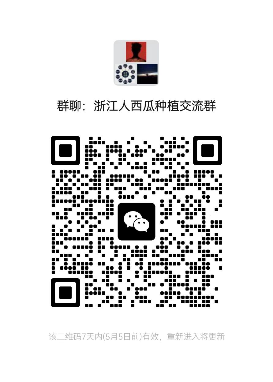 浙江人西瓜种植交流群